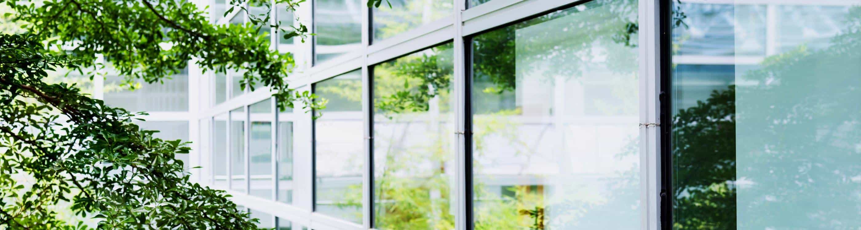 Trees and their reflections in the windows of a corporate building