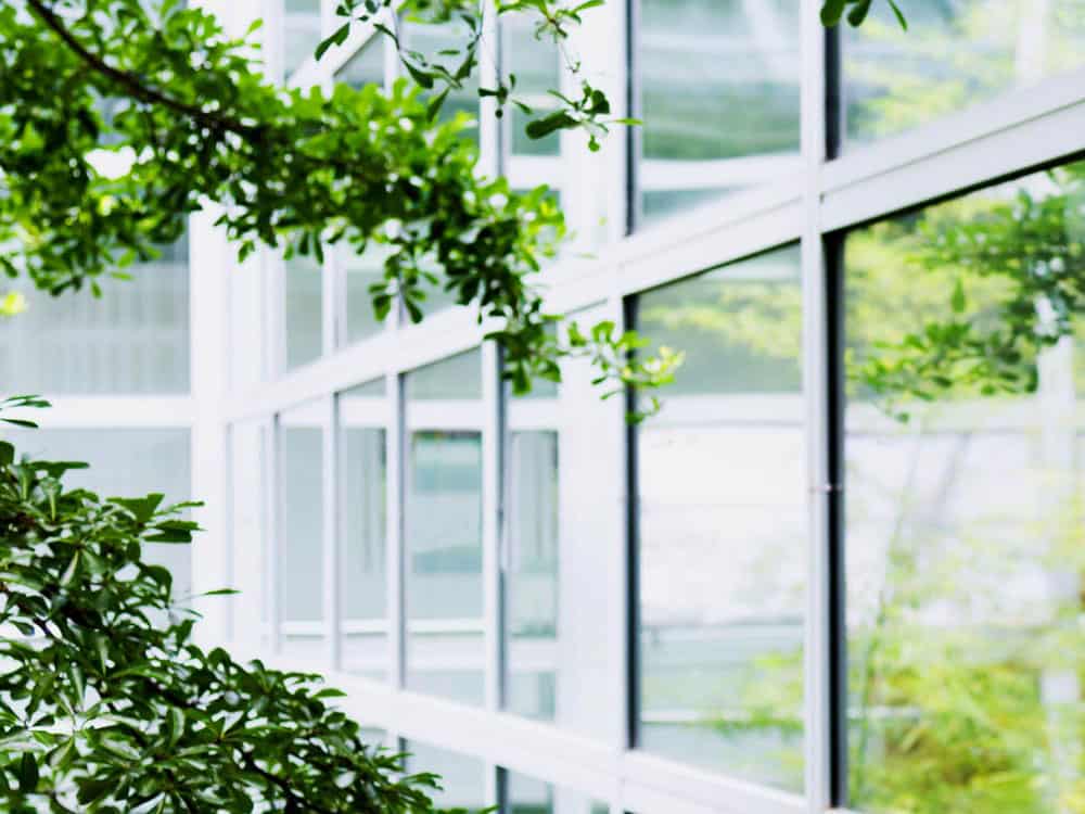 Trees and their reflections in the windows of a corporate building